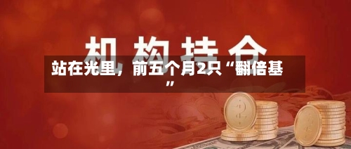 站在光里，前五个月2只“翻倍基”-第2张图片