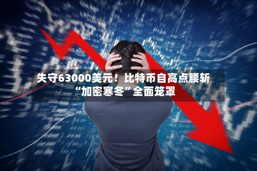 失守63000美元！比特币自高点腰斩 “加密寒冬”全面笼罩-第2张图片