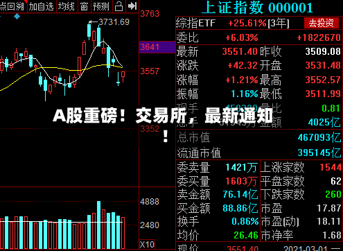 A股重磅！交易所，最新通知！-第3张图片