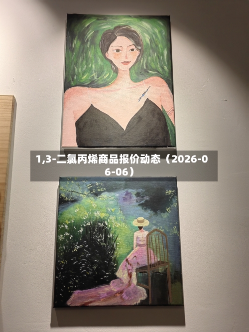 1,3-二氯丙烯商品报价动态（2026-06-06）-第2张图片