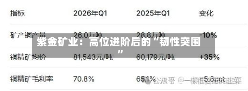 紫金矿业：高位进阶后的“韧性突围	”-第2张图片