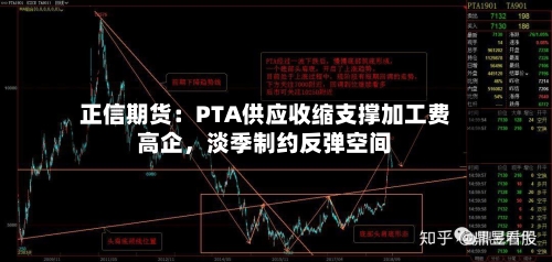正信期货：PTA供应收缩支撑加工费高企，淡季制约反弹空间-第2张图片