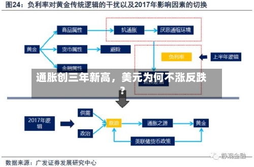 通胀创三年新高	，美元为何不涨反跌？-第3张图片