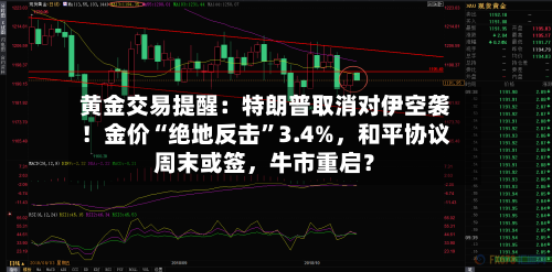 黄金交易提醒：特朗普取消对伊空袭！金价“绝地反击	”3.4%，和平协议周末或签，牛市重启？-第2张图片