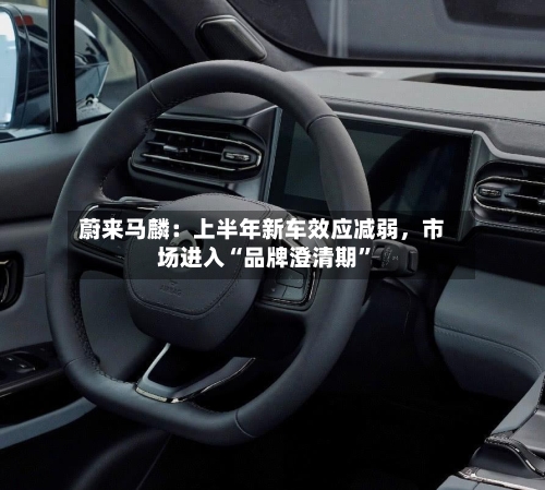 蔚来马麟：上半年新车效应减弱，市场进入“品牌澄清期”-第3张图片