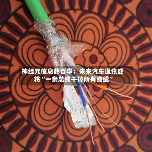 神经元信息薛百华：未来汽车通讯或将“一条总线干掉所有线缆”-第2张图片
