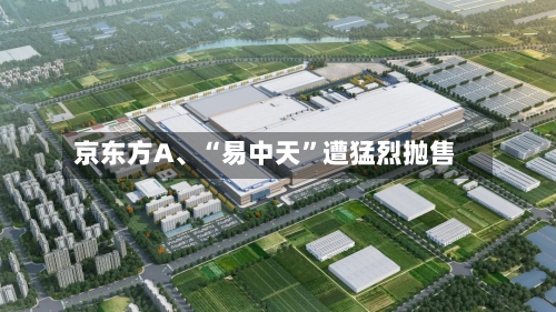 京东方A、“易中天”遭猛烈抛售-第3张图片