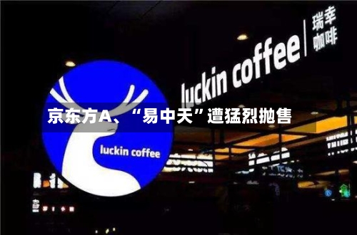 京东方A、“易中天	”遭猛烈抛售-第2张图片