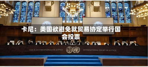 卡尼：美国欲避免就贸易协定举行国会投票