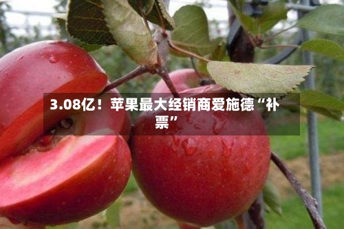 3.08亿！苹果最大经销商爱施德“补票”-第2张图片