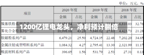 1200亿锂电龙头	，净利预计翻倍-第3张图片