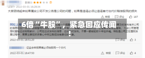 6倍“牛股”	，紧急回应传闻！-第2张图片