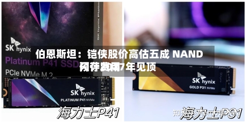 伯恩斯坦：铠侠股价高估五成 NAND闪存费用预计2027年见顶-第2张图片