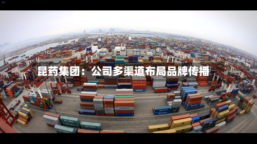 昆药集团：公司多渠道布局品牌传播-第2张图片