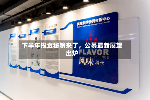 下半年投资秘籍来了，公募最新展望出炉
