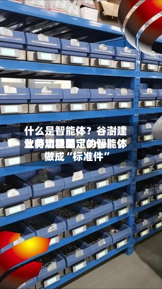 什么是智能体？谷澍建议将功能单〖One〗、业务流程固定的智能体做成“标准件”-第3张图片