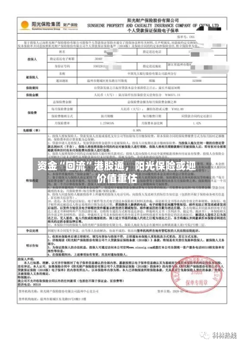 资金“回流”港股通，阳光保险或迎价值重估