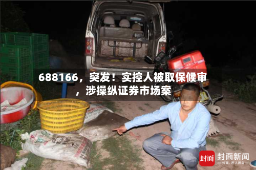 688166	，突发！实控人被取保候审，涉操纵证券市场案-第3张图片