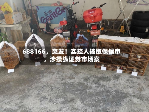 688166，突发！实控人被取保候审	，涉操纵证券市场案-第2张图片