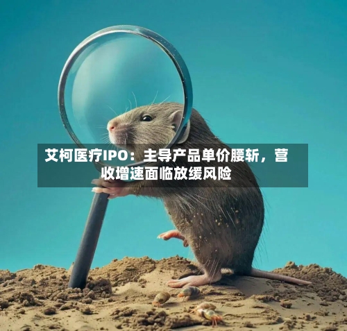 艾柯医疗IPO：主导产品单价腰斩	，营收增速面临放缓风险-第2张图片