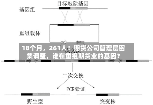 18个月，261人！期货公司管理层密集调整，谁在重组期货业的基因？-第2张图片