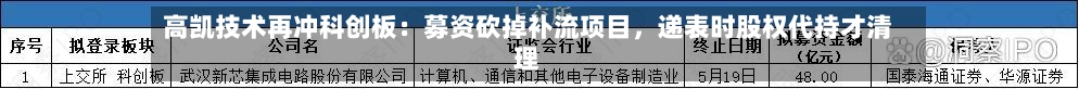 高凯技术再冲科创板：募资砍掉补流项目，递表时股权代持才清理-第2张图片