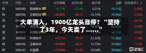 大单涌入，1900亿龙头涨停！“坚持了3年，今天卖了……	”-第2张图片