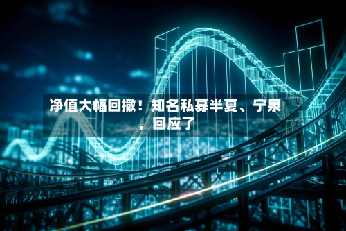 净值大幅回撤！知名私募半夏、宁泉，回应了-第2张图片