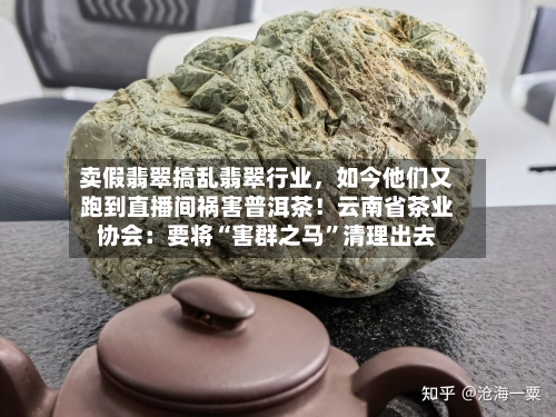 卖假翡翠搞乱翡翠行业，如今他们又跑到直播间祸害普洱茶！云南省茶业协会：要将“害群之马	”清理出去-第2张图片