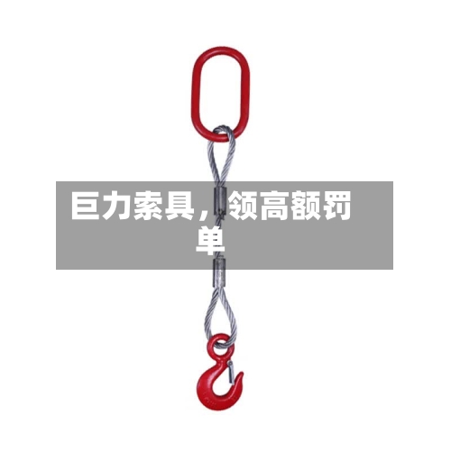 巨力索具	，领高额罚单-第2张图片