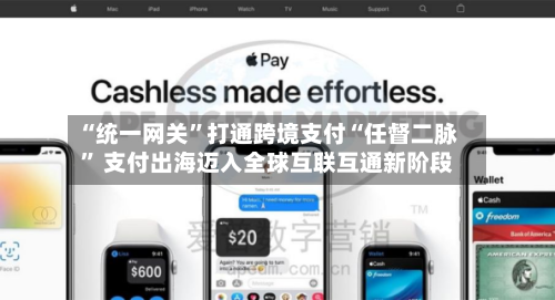 “统一网关”打通跨境支付“任督二脉” 支付出海迈入全球互联互通新阶段-第3张图片