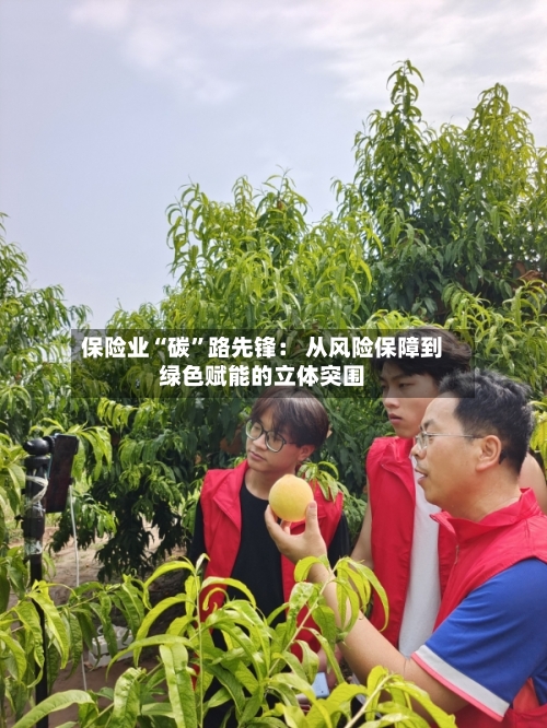 保险业“碳”路先锋： 从风险保障到绿色赋能的立体突围-第3张图片