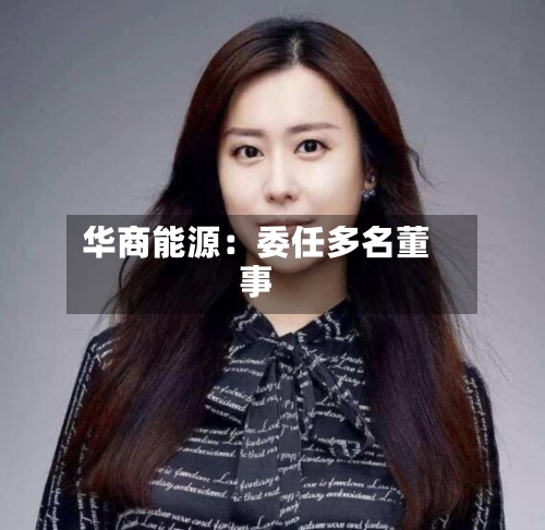 华商能源：委任多名董事