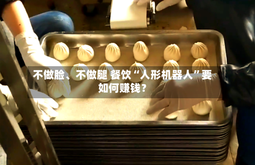 不做脸	、不做腿 餐饮“人形机器人	”要如何赚钱？-第3张图片