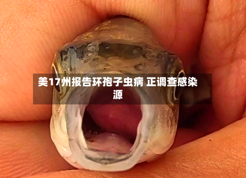 美17州报告环孢子虫病 正调查感染源-第2张图片