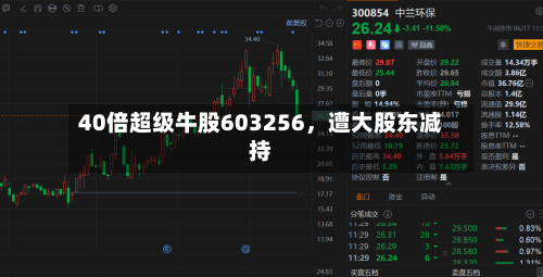 40倍超级牛股603256,遭大股东减持