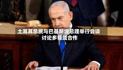 土耳其总统与巴基斯坦总理举行会谈 讨论多领域合作