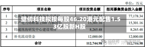 壁仞科技拟按每股46.20港元配售1.53亿股新H股