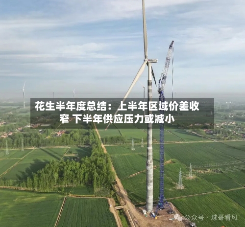 花生半年度总结:上半年区域价差收窄 下半年供应压力或减小-第3张图片