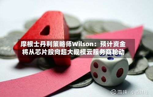 摩根士丹利策略师Wilson:预计资金将从芯片股向超大规模云服务商轮动-第2张图片