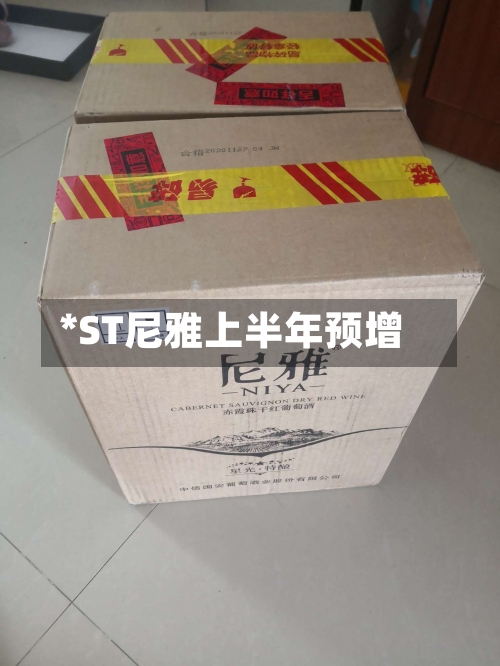 *ST尼雅上半年预增