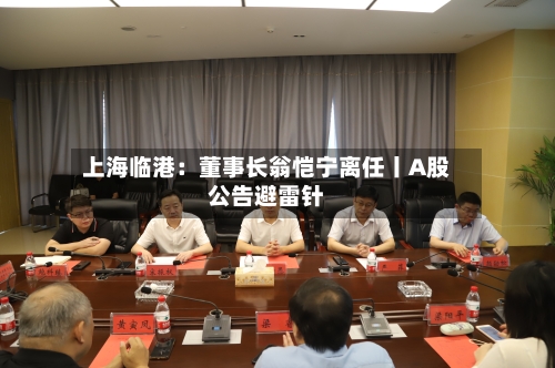 上海临港：董事长翁恺宁离任丨A股公告避雷针