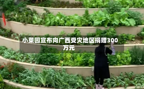小菜园宣布向广西受灾地区捐赠300万元