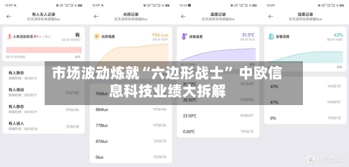 市场波动炼就“六边形战士” 中欧信息科技业绩大拆解-第3张图片